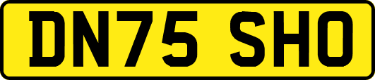 DN75SHO