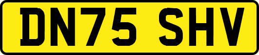 DN75SHV