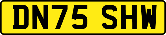 DN75SHW