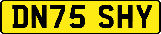 DN75SHY
