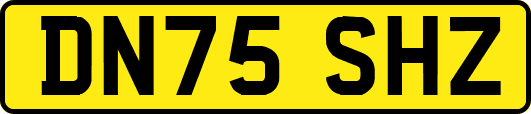 DN75SHZ