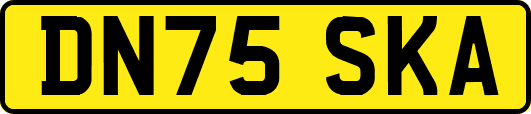 DN75SKA