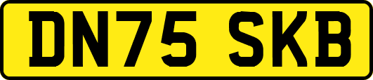 DN75SKB