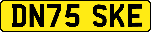 DN75SKE