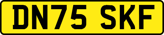 DN75SKF