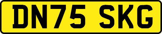 DN75SKG