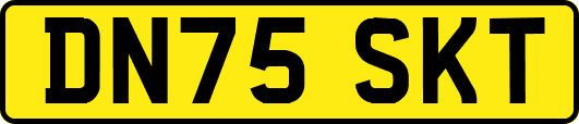 DN75SKT