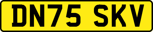 DN75SKV