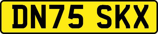 DN75SKX