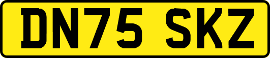 DN75SKZ
