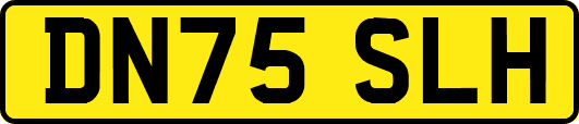 DN75SLH