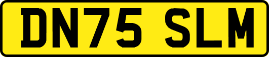 DN75SLM