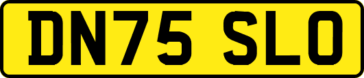 DN75SLO