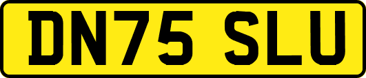 DN75SLU