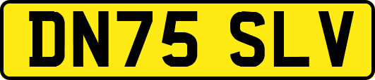 DN75SLV