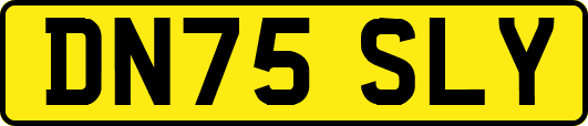 DN75SLY
