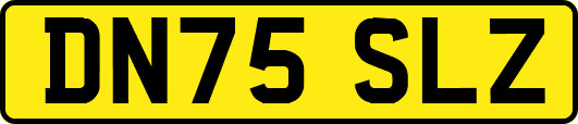 DN75SLZ