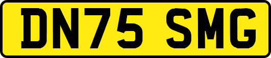 DN75SMG