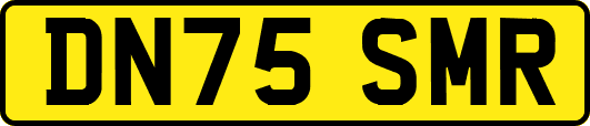 DN75SMR