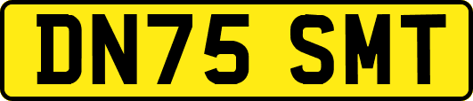 DN75SMT