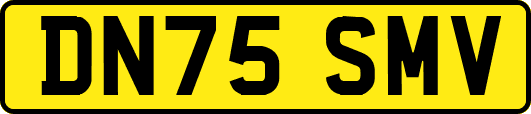 DN75SMV