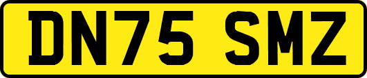 DN75SMZ
