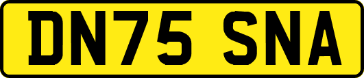 DN75SNA