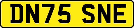 DN75SNE