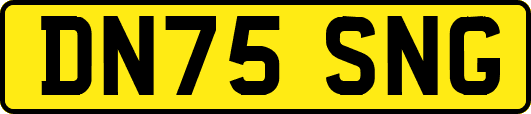 DN75SNG