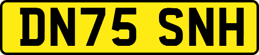 DN75SNH