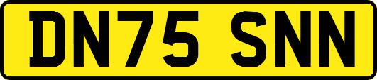 DN75SNN