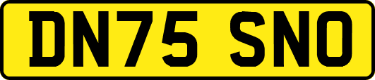 DN75SNO