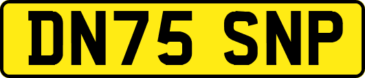 DN75SNP