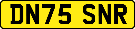 DN75SNR