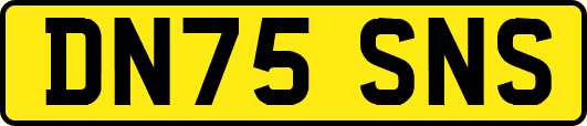DN75SNS