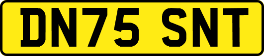 DN75SNT