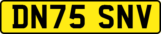 DN75SNV
