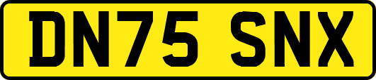 DN75SNX