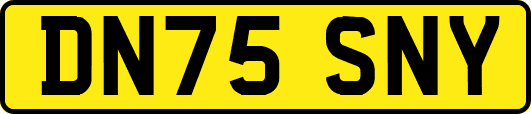 DN75SNY