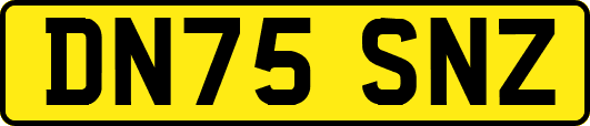 DN75SNZ
