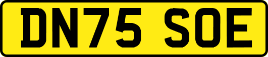 DN75SOE