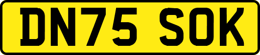 DN75SOK