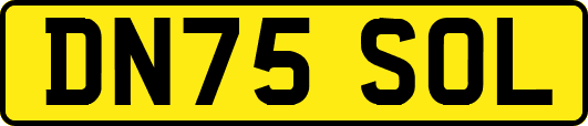 DN75SOL