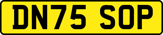 DN75SOP