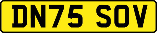 DN75SOV