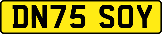 DN75SOY