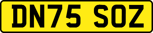 DN75SOZ