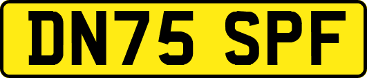 DN75SPF