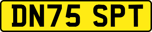 DN75SPT