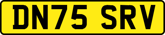 DN75SRV